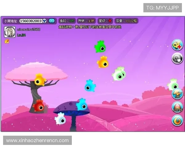 如何选择优质的K8视讯游戏平台,提升游戏体验与资金安全保障 如何选择优质的K8视讯游戏平台,提升游戏体验与资金安全保障